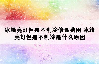 冰箱亮灯但是不制冷修理费用 冰箱亮灯但是不制冷是什么原因